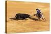 Bullfight, Jerez De La Frontera, Cadiz Province, Andalusia, Spain-Neil Farrin-Stretched Canvas