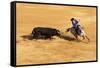 Bullfight, Jerez De La Frontera, Cadiz Province, Andalusia, Spain-Neil Farrin-Framed Stretched Canvas