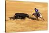 Bullfight, Jerez De La Frontera, Cadiz Province, Andalusia, Spain-Neil Farrin-Stretched Canvas