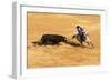 Bullfight, Jerez De La Frontera, Cadiz Province, Andalusia, Spain-Neil Farrin-Framed Photographic Print