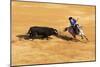 Bullfight, Jerez De La Frontera, Cadiz Province, Andalusia, Spain-Neil Farrin-Mounted Photographic Print