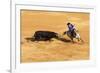 Bullfight, Jerez De La Frontera, Cadiz Province, Andalusia, Spain-Neil Farrin-Framed Photographic Print