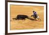 Bullfight, Jerez De La Frontera, Cadiz Province, Andalusia, Spain-Neil Farrin-Framed Photographic Print