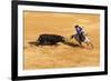 Bullfight, Jerez De La Frontera, Cadiz Province, Andalusia, Spain-Neil Farrin-Framed Photographic Print