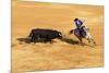 Bullfight, Jerez De La Frontera, Cadiz Province, Andalusia, Spain-Neil Farrin-Mounted Photographic Print