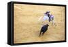 Bullfight, Jerez De La Frontera, Cadiz Province, Andalusia, Spain-Neil Farrin-Framed Stretched Canvas