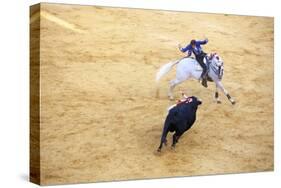 Bullfight, Jerez De La Frontera, Cadiz Province, Andalusia, Spain-Neil Farrin-Stretched Canvas