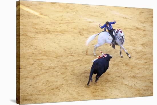 Bullfight, Jerez De La Frontera, Cadiz Province, Andalusia, Spain-Neil Farrin-Stretched Canvas