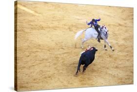 Bullfight, Jerez De La Frontera, Cadiz Province, Andalusia, Spain-Neil Farrin-Stretched Canvas