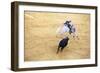 Bullfight, Jerez De La Frontera, Cadiz Province, Andalusia, Spain-Neil Farrin-Framed Photographic Print