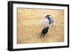 Bullfight, Jerez De La Frontera, Cadiz Province, Andalusia, Spain-Neil Farrin-Framed Photographic Print