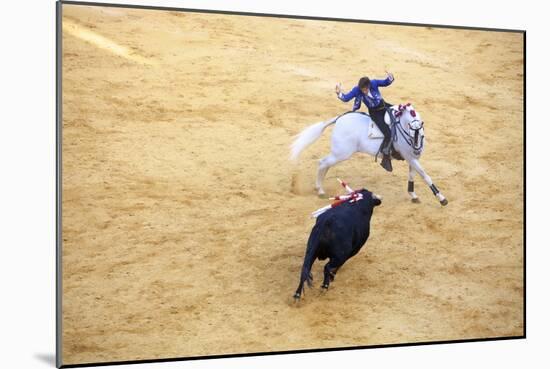 Bullfight, Jerez De La Frontera, Cadiz Province, Andalusia, Spain-Neil Farrin-Mounted Photographic Print