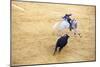 Bullfight, Jerez De La Frontera, Cadiz Province, Andalusia, Spain-Neil Farrin-Mounted Photographic Print