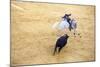 Bullfight, Jerez De La Frontera, Cadiz Province, Andalusia, Spain-Neil Farrin-Mounted Photographic Print