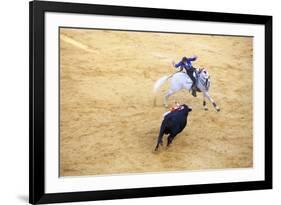 Bullfight, Jerez De La Frontera, Cadiz Province, Andalusia, Spain-Neil Farrin-Framed Photographic Print