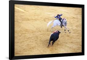 Bullfight, Jerez De La Frontera, Cadiz Province, Andalusia, Spain-Neil Farrin-Framed Photographic Print