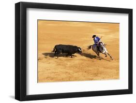 Bullfight, Jerez De La Frontera, Cadiz Province, Andalusia, Spain-Neil Farrin-Framed Photographic Print