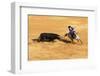 Bullfight, Jerez De La Frontera, Cadiz Province, Andalusia, Spain-Neil Farrin-Framed Photographic Print