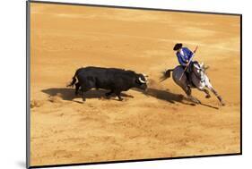 Bullfight, Jerez De La Frontera, Cadiz Province, Andalusia, Spain-Neil Farrin-Mounted Photographic Print