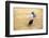 Bullfight, Jerez De La Frontera, Cadiz Province, Andalusia, Spain-Neil Farrin-Framed Photographic Print