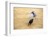 Bullfight, Jerez De La Frontera, Cadiz Province, Andalusia, Spain-Neil Farrin-Framed Photographic Print