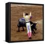 Bullfight or Fiesta Brava, San Luis Potosi, Mexico-Russell Gordon-Framed Stretched Canvas