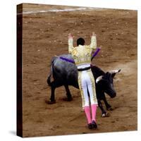 Bullfight or Fiesta Brava, San Luis Potosi, Mexico-Russell Gordon-Stretched Canvas