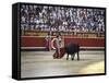 Bullfight, Pamplona, Spain-null-Framed Stretched Canvas