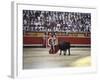 Bullfight, Pamplona, Spain-null-Framed Photographic Print