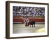 Bullfight, Pamplona, Spain-null-Framed Photographic Print