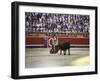 Bullfight, Pamplona, Spain-null-Framed Photographic Print