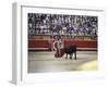 Bullfight, Pamplona, Spain-null-Framed Photographic Print