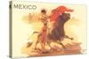 Bullfight Poster, Mexico-null-Stretched Canvas