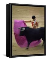 Bullfight Spain-null-Framed Stretched Canvas