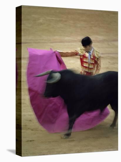 Bullfight Spain-null-Stretched Canvas