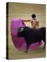 Bullfight Spain-null-Stretched Canvas