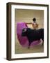 Bullfight Spain-null-Framed Premium Photographic Print