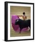 Bullfight Spain-null-Framed Premium Photographic Print