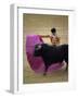 Bullfight Spain-null-Framed Premium Photographic Print