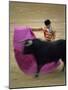 Bullfight Spain-null-Mounted Premium Photographic Print