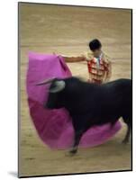 Bullfight Spain-null-Mounted Photographic Print