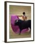 Bullfight Spain-null-Framed Photographic Print