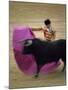 Bullfight Spain-null-Mounted Photographic Print