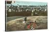 Bullfight, Tijuana, Mexico-null-Stretched Canvas