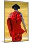 Bullfighter Entering Bullring-null-Mounted Art Print