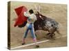Bullfighting, Plaza de Toros, Ronda, Andalusia, Spain-null-Stretched Canvas