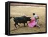 Bullfighting, Plaza de Toros, Ronda, Andalusia, Spain-null-Framed Stretched Canvas