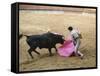 Bullfighting, Plaza de Toros, Ronda, Andalusia, Spain-null-Framed Stretched Canvas