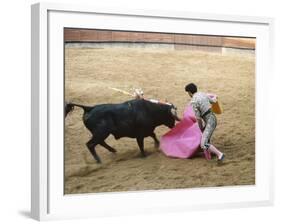 Bullfighting, Plaza de Toros, Ronda, Andalusia, Spain-null-Framed Photographic Print