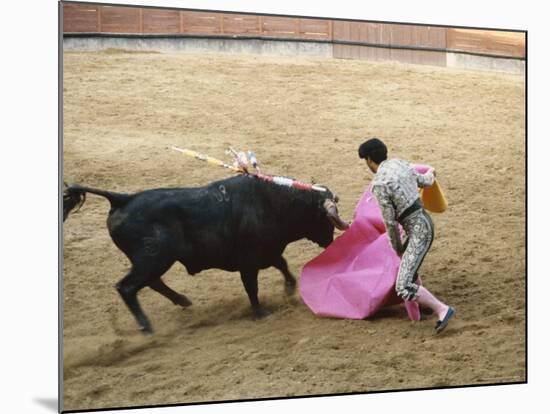 Bullfighting, Plaza de Toros, Ronda, Andalusia, Spain-null-Mounted Photographic Print